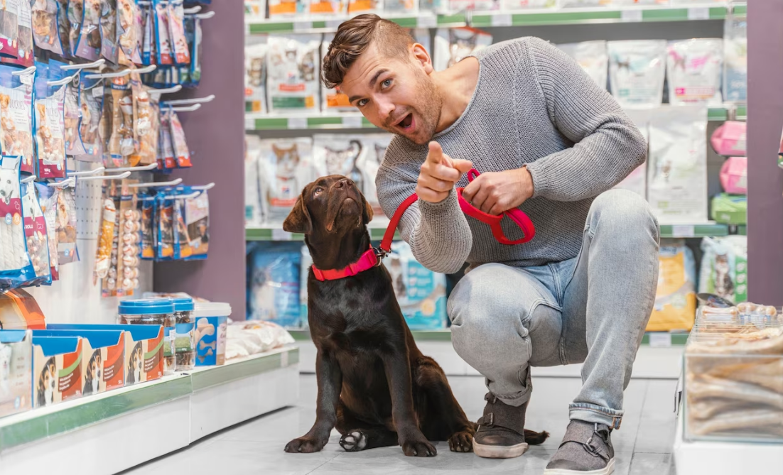 Walmart Pet Meds