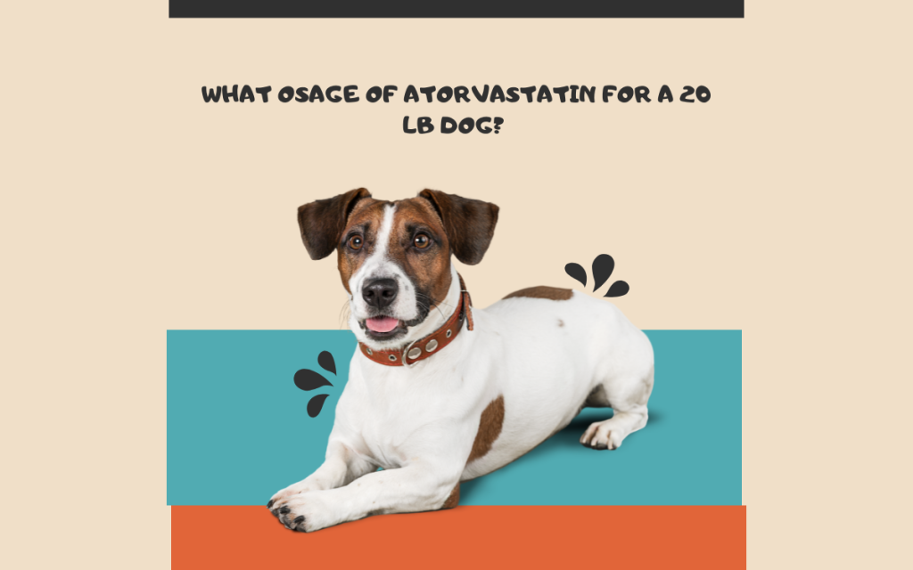 What Osage of Atorvastatin for a 20 lb Dog?