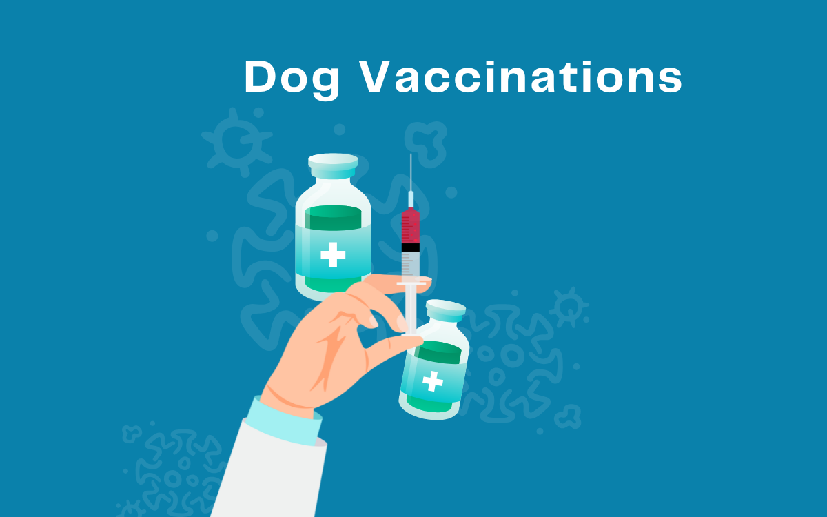 Dog Vaccinations