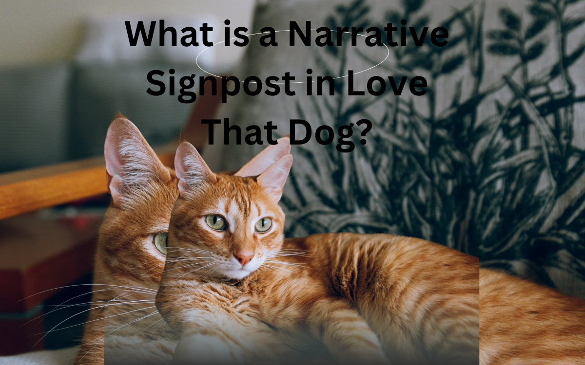 What is a Narrative Signpost in Love That Dog?