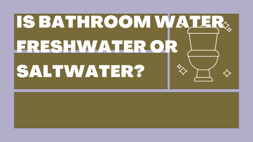 Is Bathroom Water Freshwater or Saltwater?